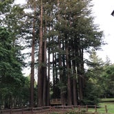 Review photo of Sanborn County Park by Corrie G., May 21, 2019
