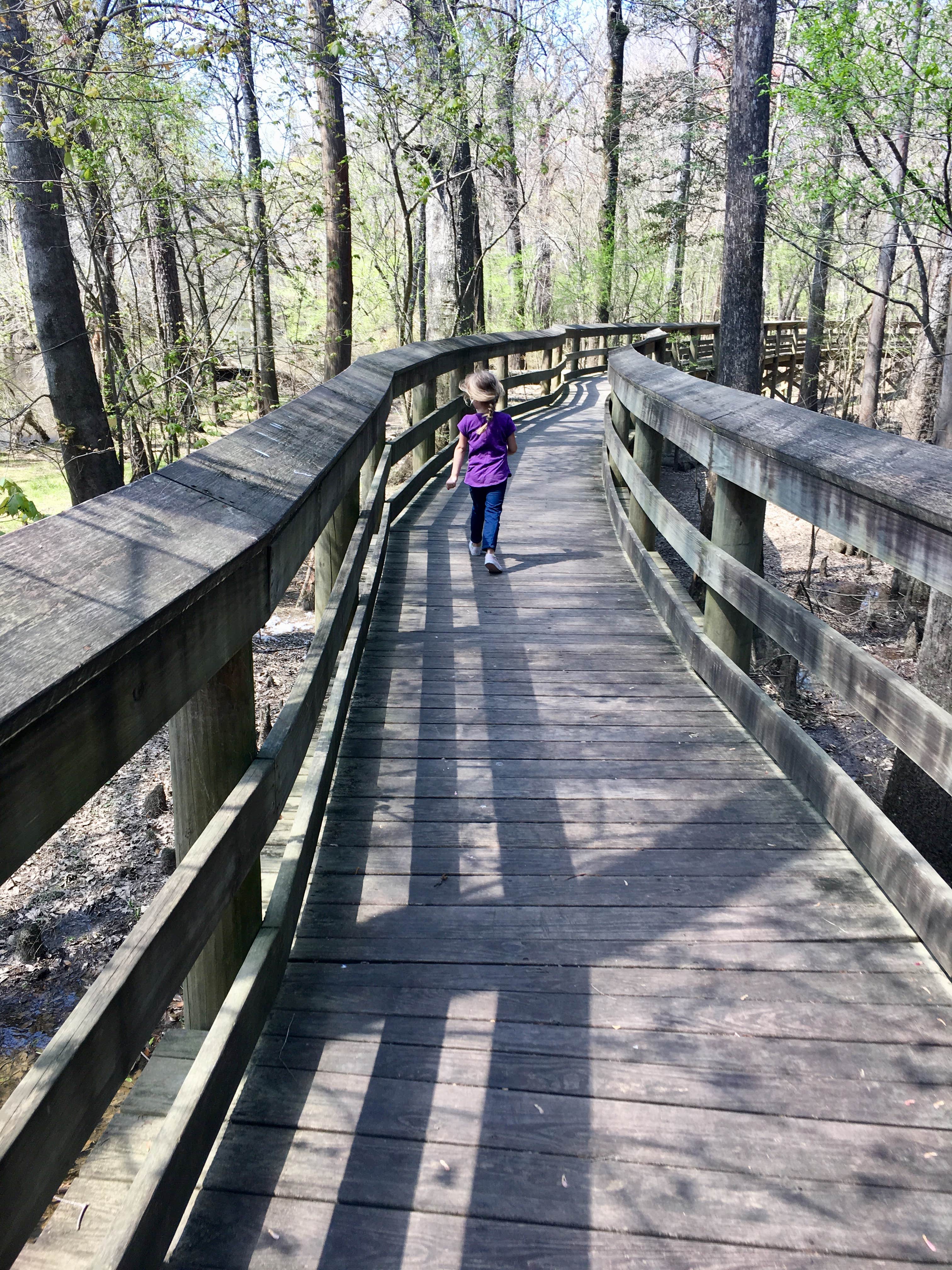 Camper submitted image from Lynches River County Park - 4