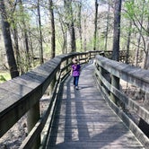 Review photo of Lynches River County Park by John P., May 20, 2019