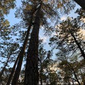 Review photo of Lee State Park Campground by John P., May 18, 2019