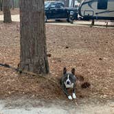 Review photo of Lee State Park Campground by John P., May 18, 2019