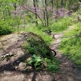 Review photo of Blind Lake Rustic Campground — Pinckney Recreation Area by Mike B., May 21, 2019