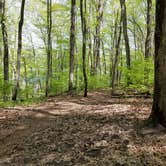 Review photo of Blind Lake Rustic Campground — Pinckney Recreation Area by Mike B., May 21, 2019