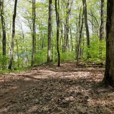 Review photo of Blind Lake Rustic Campground — Pinckney Recreation Area by Mike B., May 21, 2019