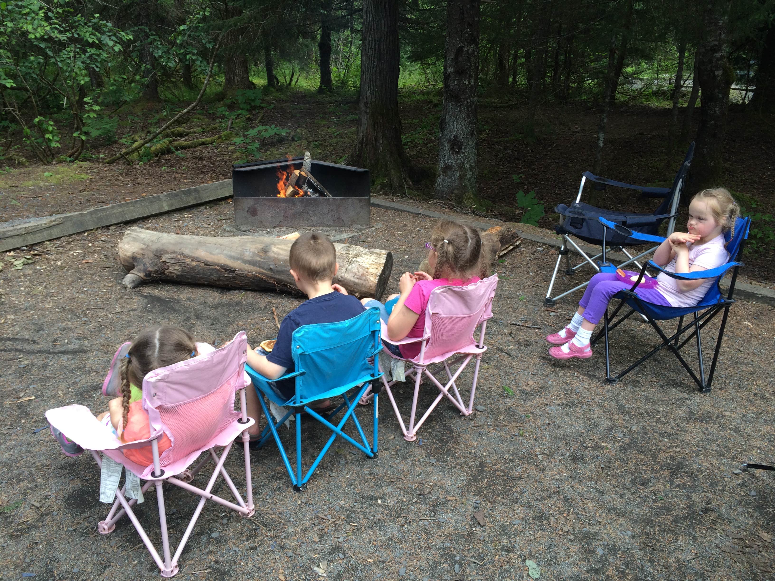 Camper submitted image from Williwaw Campground - 3