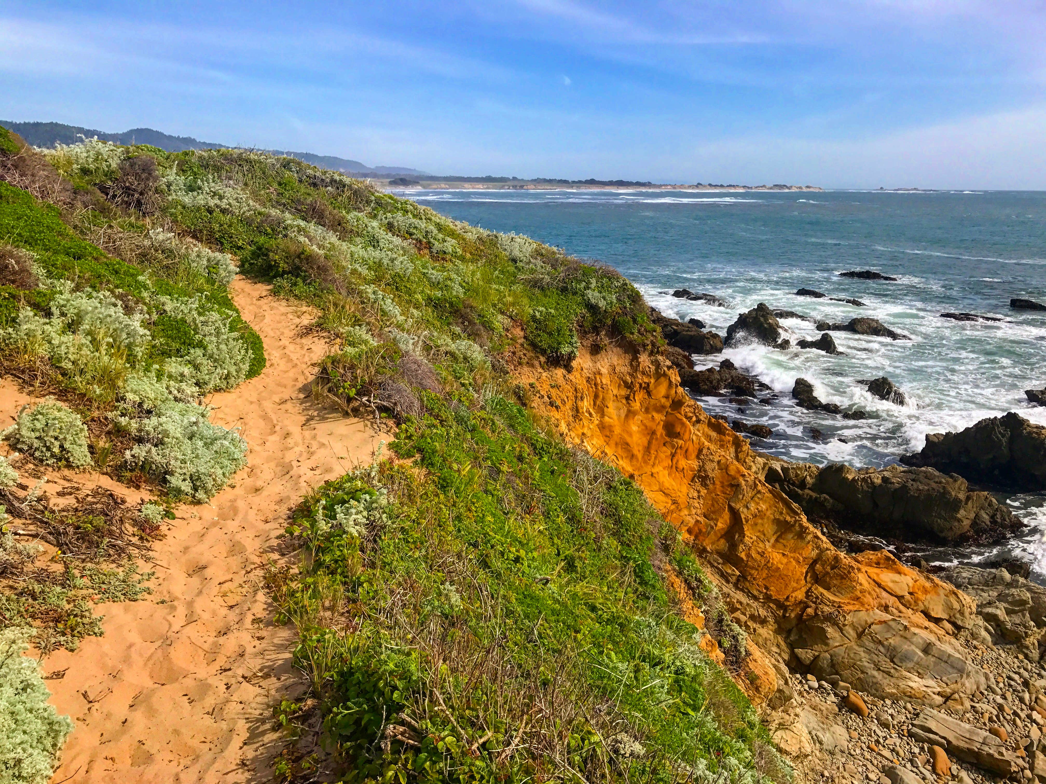 Camper submitted image from Santa Cruz North-Costanoa KOA - 3