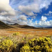 Review photo of Morro Bay State Park Campground by Corrie G., May 21, 2019