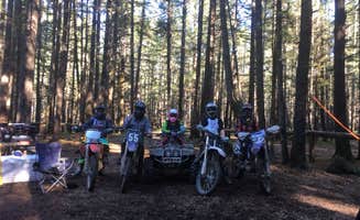 Ray D.'s photo at Tahuya River Campground near Hoodsport, WA