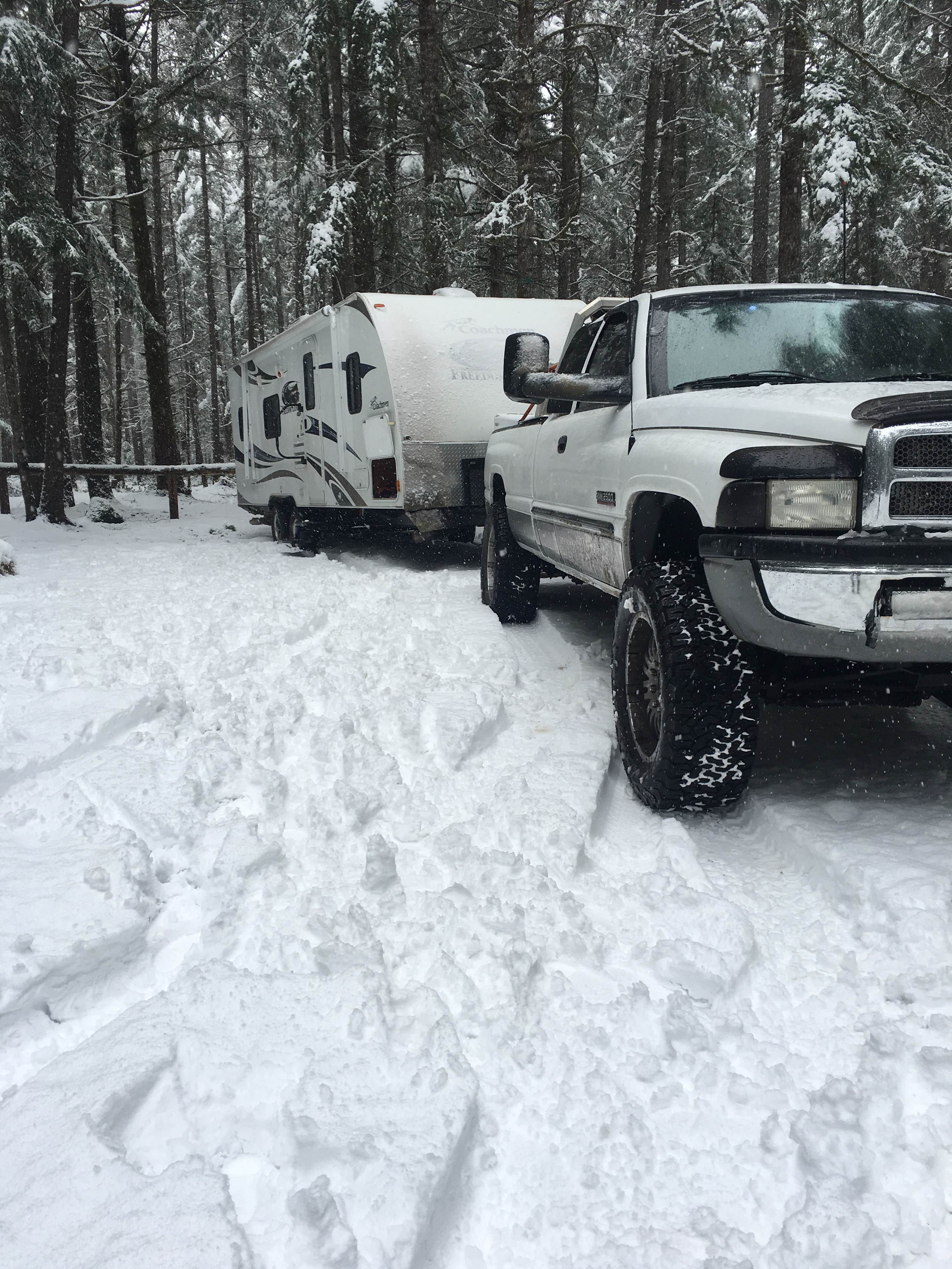 Camper submitted image from Tahuya River Campground - 1