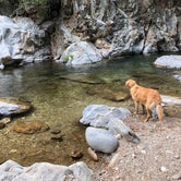 Review photo of Pfeiffer Big Sur State Park Campground by Corrie G., May 21, 2019
