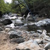 Review photo of Pfeiffer Big Sur State Park Campground by Corrie G., May 21, 2019