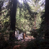 Review photo of Pfeiffer Big Sur State Park Campground by Corrie G., May 21, 2019