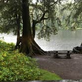 Review photo of Signal Creek Campground by Larae S., August 30, 2016