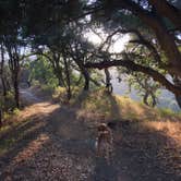 Review photo of Pfeiffer Big Sur State Park Campground by Corrie G., May 21, 2019