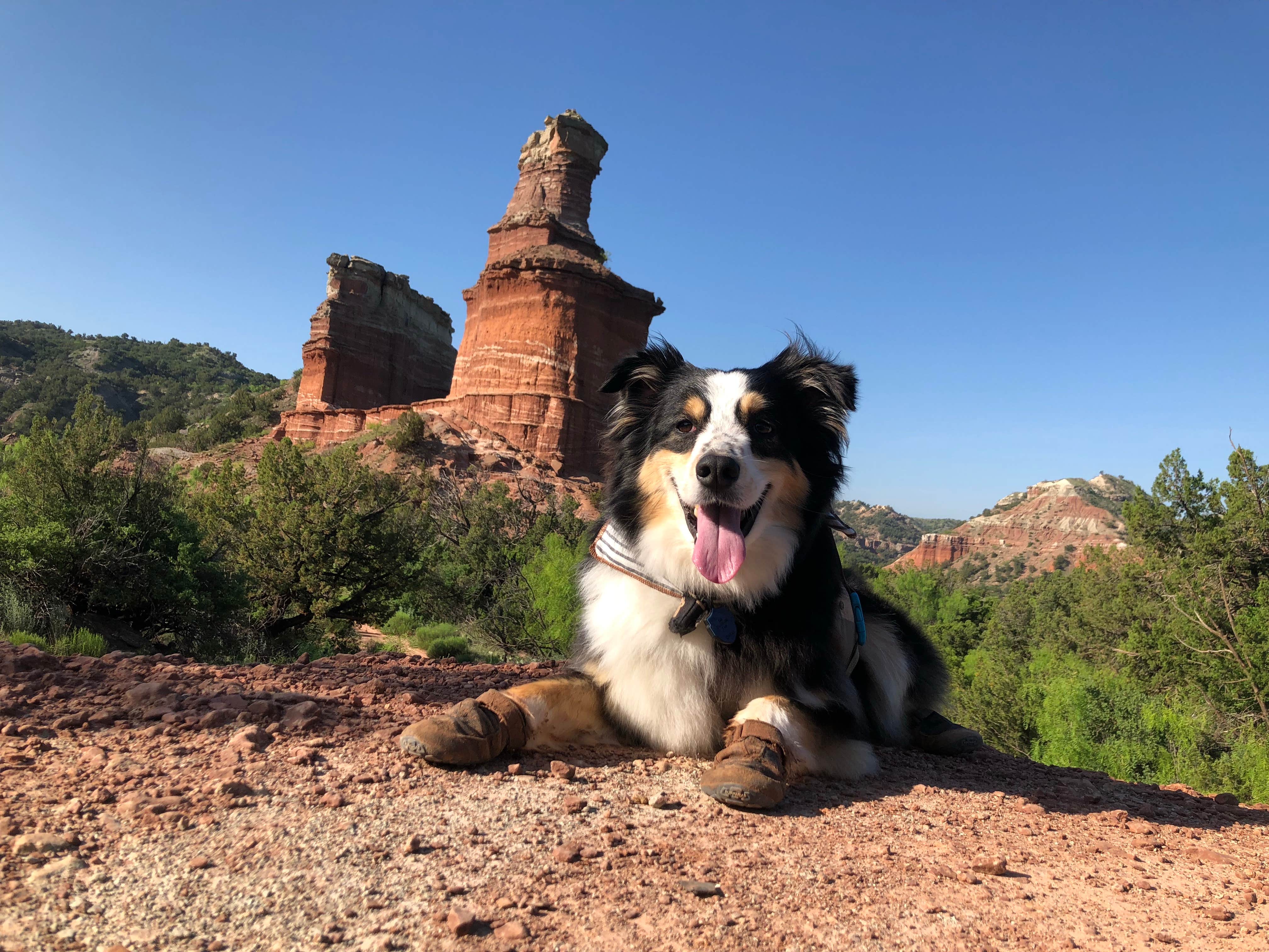 Travis T.'s photo of camping with pets at Juniper Campground — Palo Duro Canyon State Park near Canyon, TX