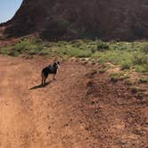 Review photo of Juniper Campground — Palo Duro Canyon State Park by Travis T., May 21, 2019