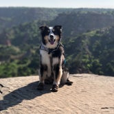 Review photo of Palo Duro Canyon State Park Campground by Travis T., May 21, 2019