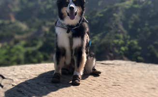 Travis T.'s photo of camping with pets at Juniper Campground — Palo Duro Canyon State Park near Amarillo, TX