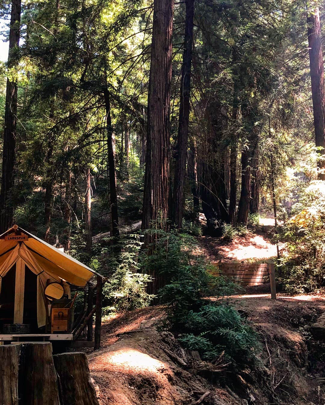 Corrie G.'s photo of glamping accommodations at Ventana Campground near Fort Hunter Liggett, CA