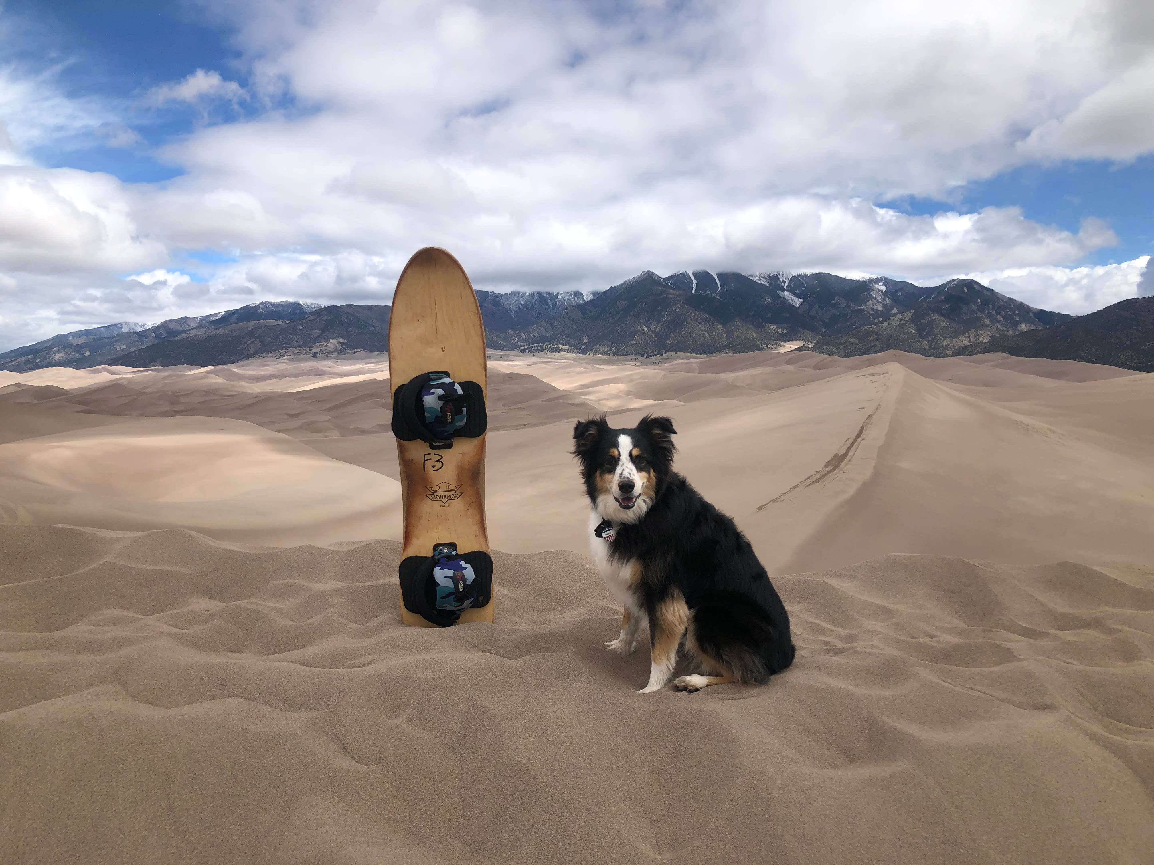 Travis T.'s photo of camping with pets at Great Sand Dunes Oasis near Westcliffe, CO