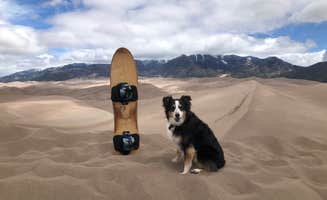 Travis T.'s photo of camping with pets at Great Sand Dunes Oasis near Moffat, CO