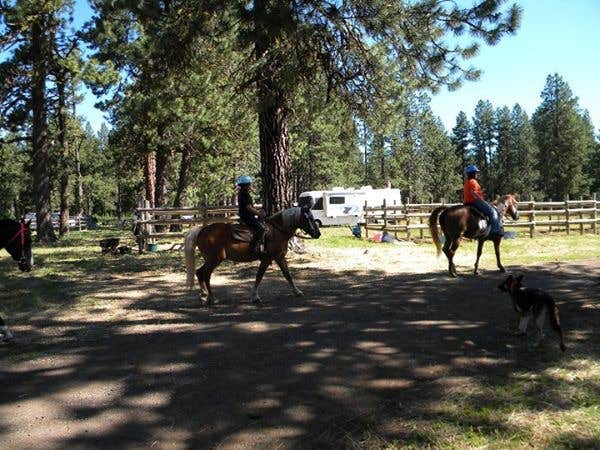 Camper submitted image from Lily Glen Horse Camp - Howard Prairie Lake - 1