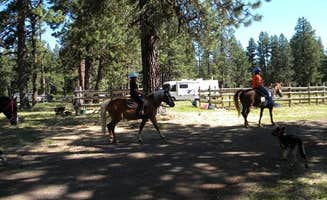 Kassidy D.'s photo of camping with a horse at Lily Glen Horse Camp - Howard Prairie Lake near Dorris, CA