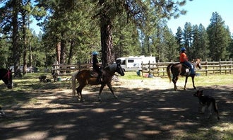 Camping near Klum landing : Lily Glen Horse Camp - Howard Prairie Lake, Ashland, Oregon