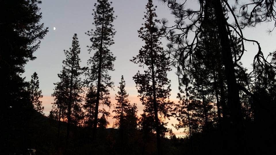 Camper submitted image from Jackson Campground On The Applegate River - 2