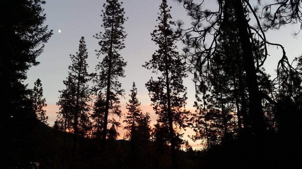 Nature