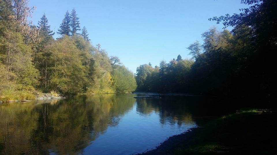 Camper submitted image from Jackson Campground On The Applegate River - 4