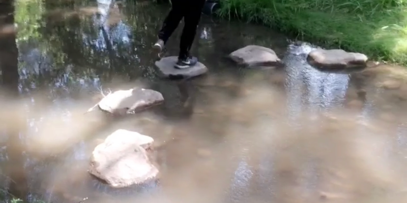 Camper submitted image from Alderwood Campground