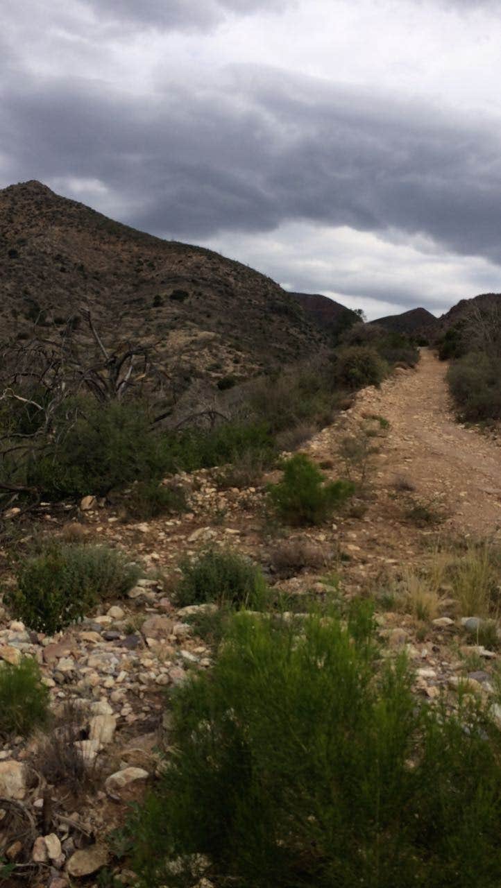 Camper-submitted photo at Tonto National Forest Riverside Campground near Carefree, AZ