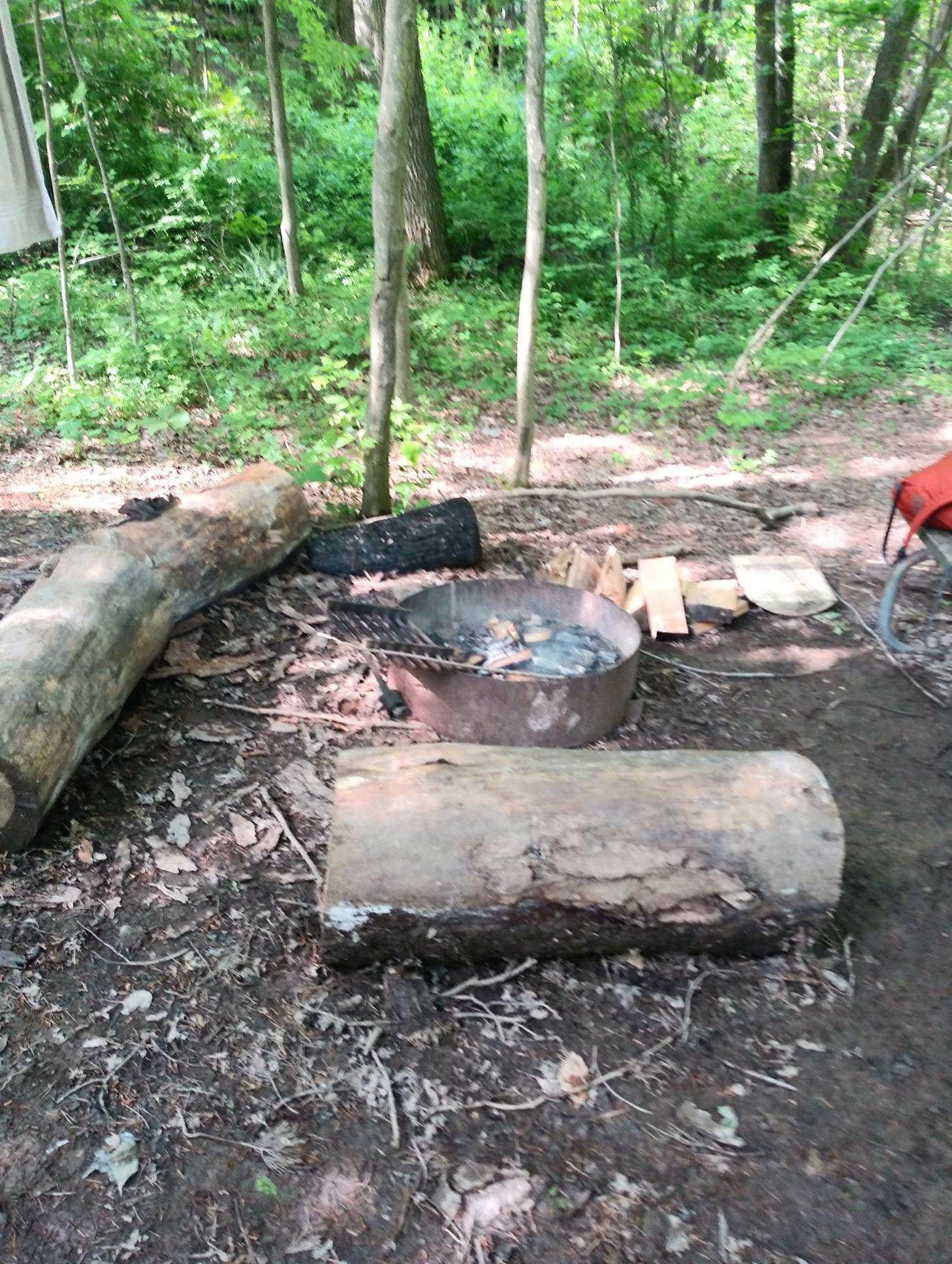 Grace D.'s photo at Hocking Hills State Park Campground near Carroll, OH