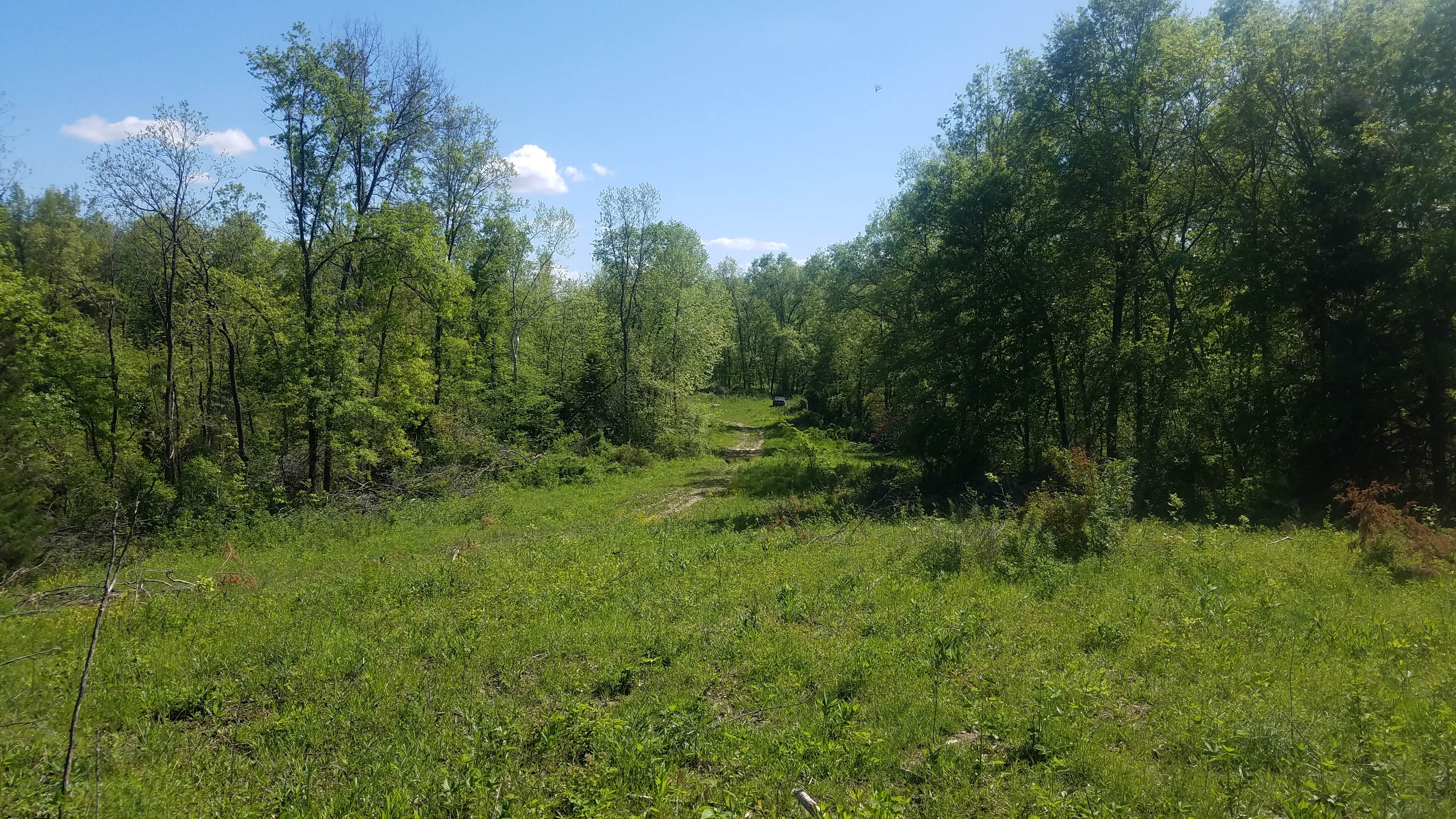Camper-submitted photo at Slate and Wild Roses near Macon, MO