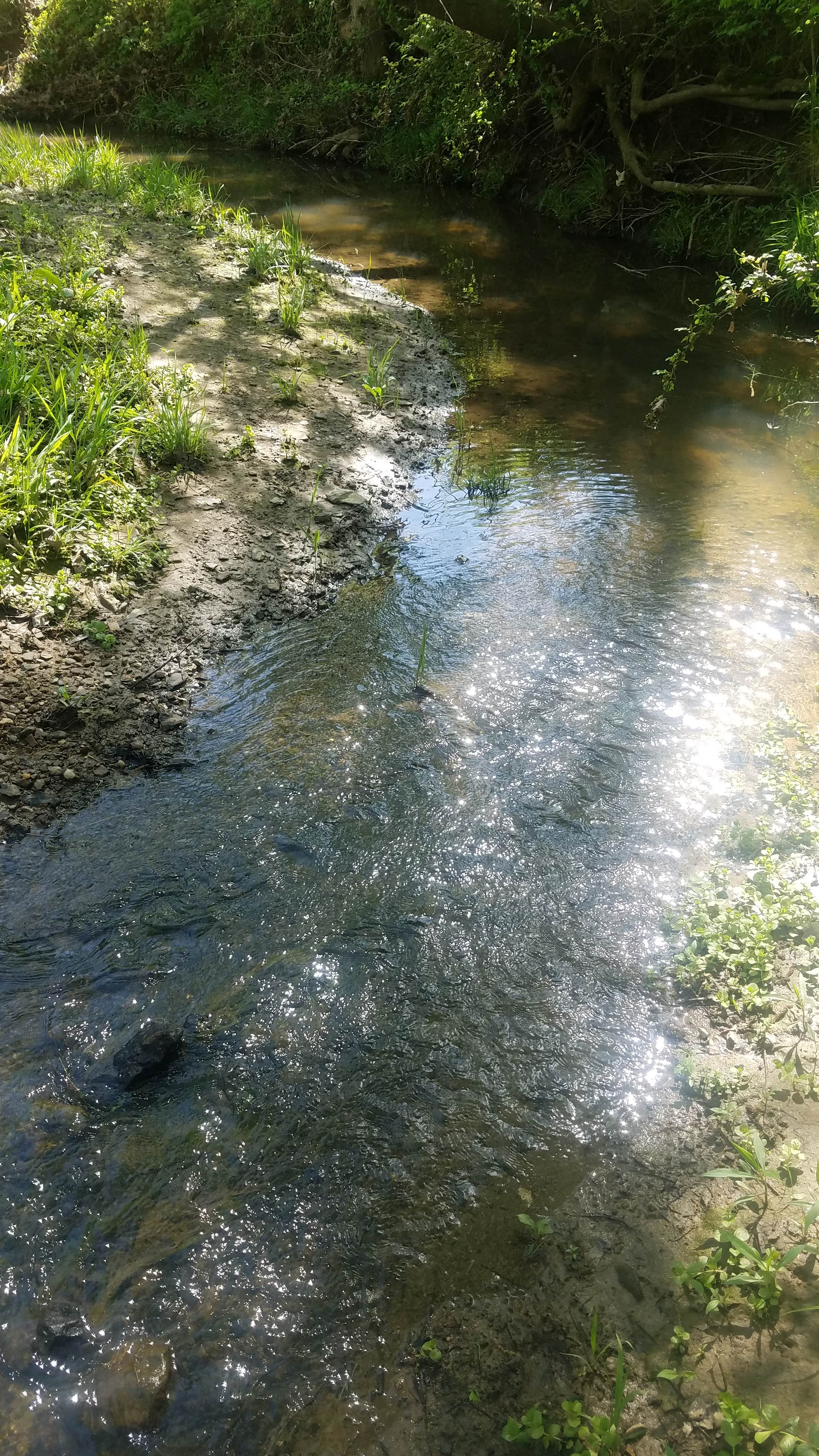 Camper-submitted photo at Slate and Wild Roses near Macon, MO