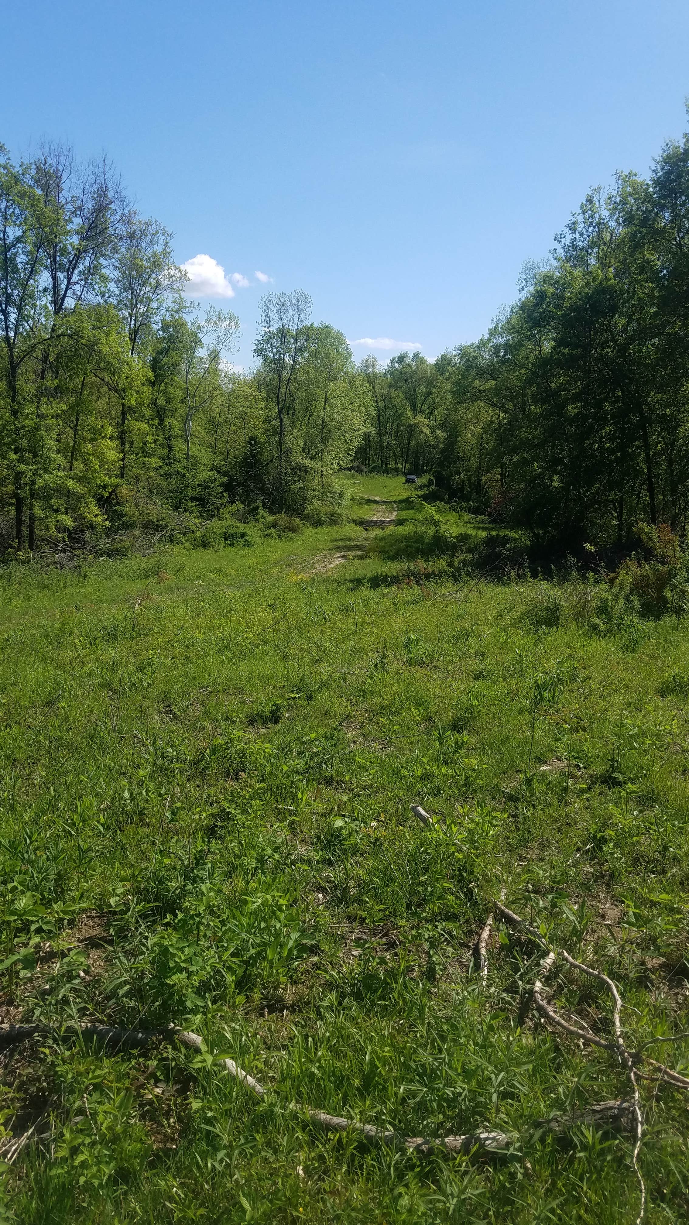 Camper-submitted photo at Slate and Wild Roses near Macon, MO