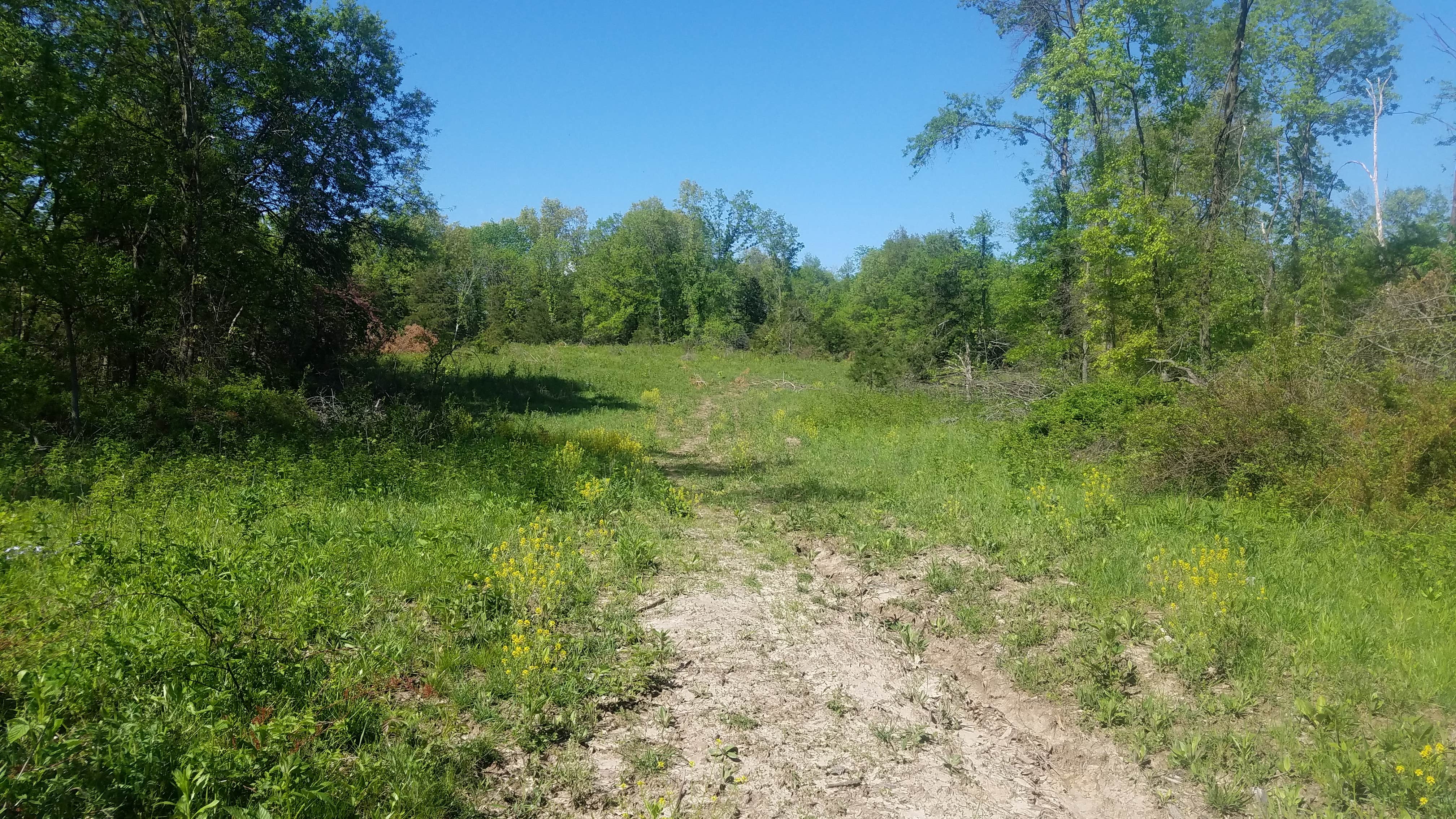 Camper-submitted photo at Slate and Wild Roses near Macon, MO