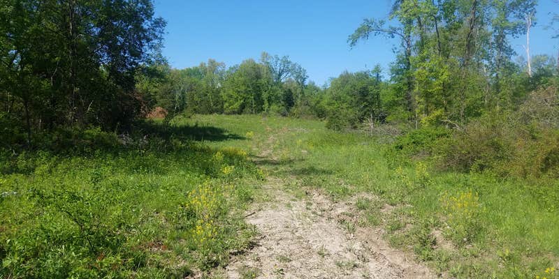 Camper submitted image from Slate and Wild Roses