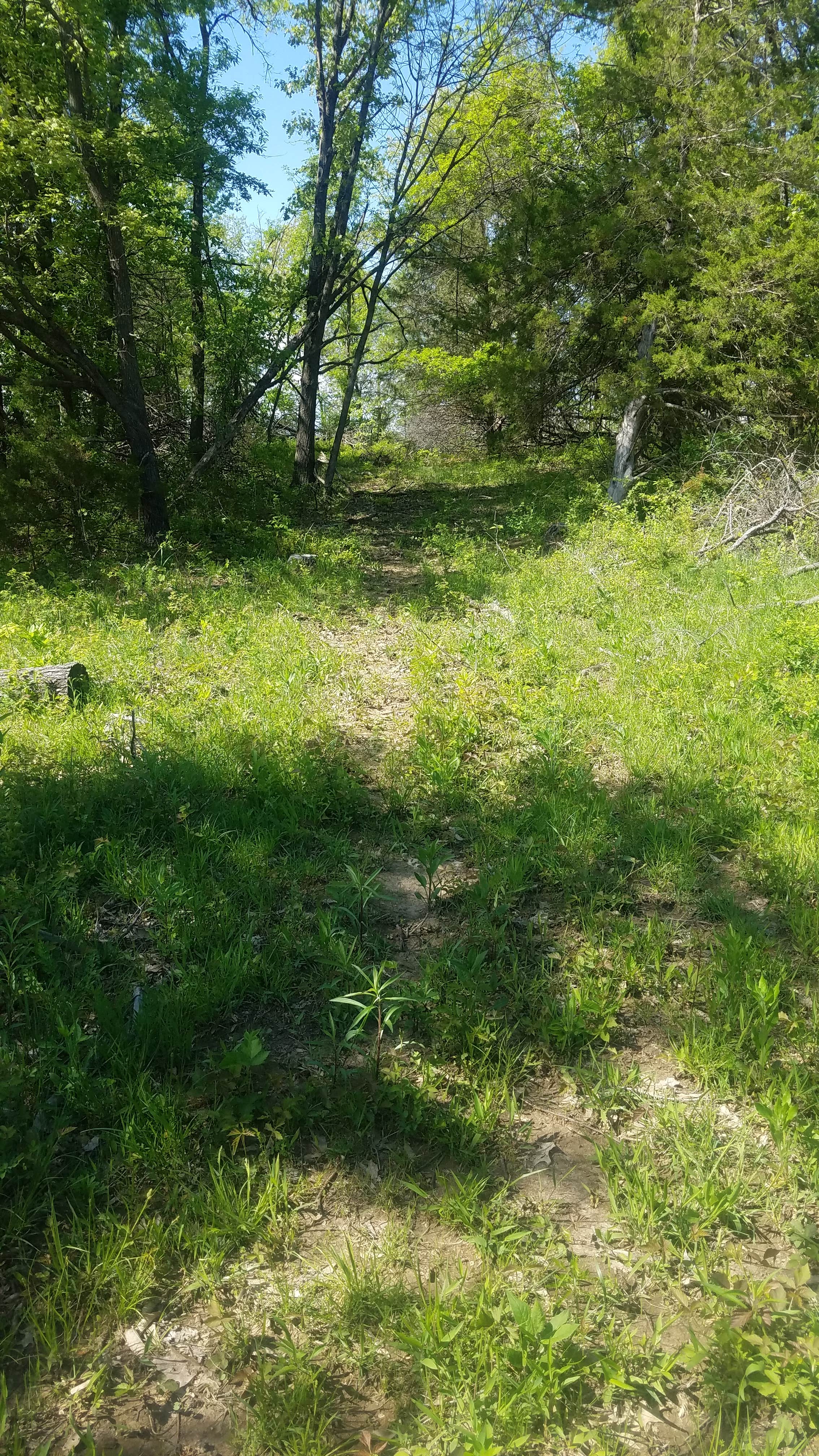 Camper-submitted photo at Slate and Wild Roses near Macon, MO