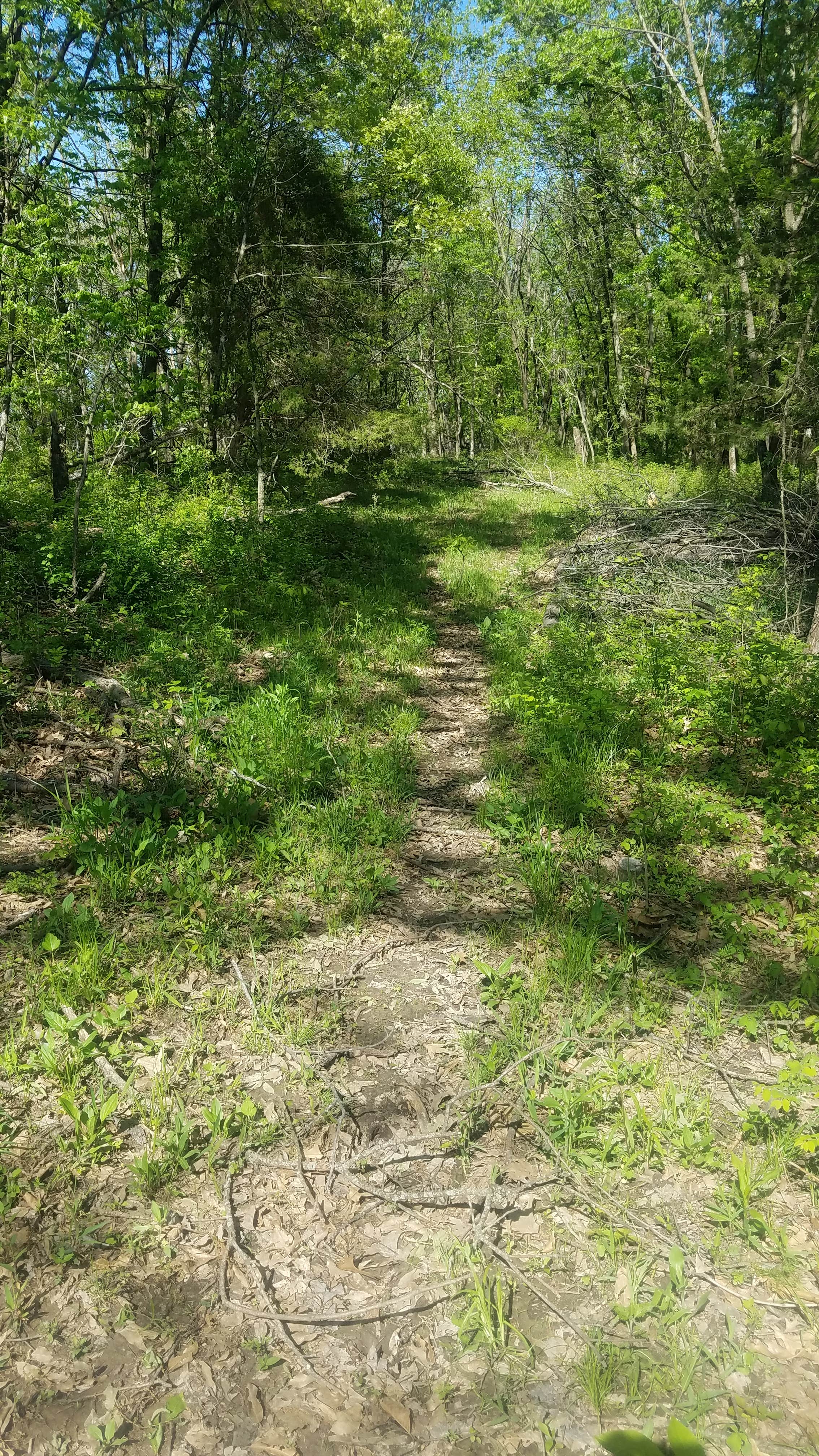 Camper-submitted photo at Slate and Wild Roses near Macon, MO