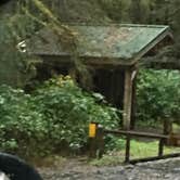 Review photo of Signal Creek Campground by Larae S., August 30, 2016