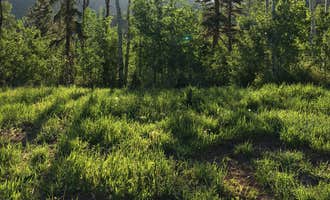 Camping near Collective Vail: Eagle Area, Eagle, Colorado