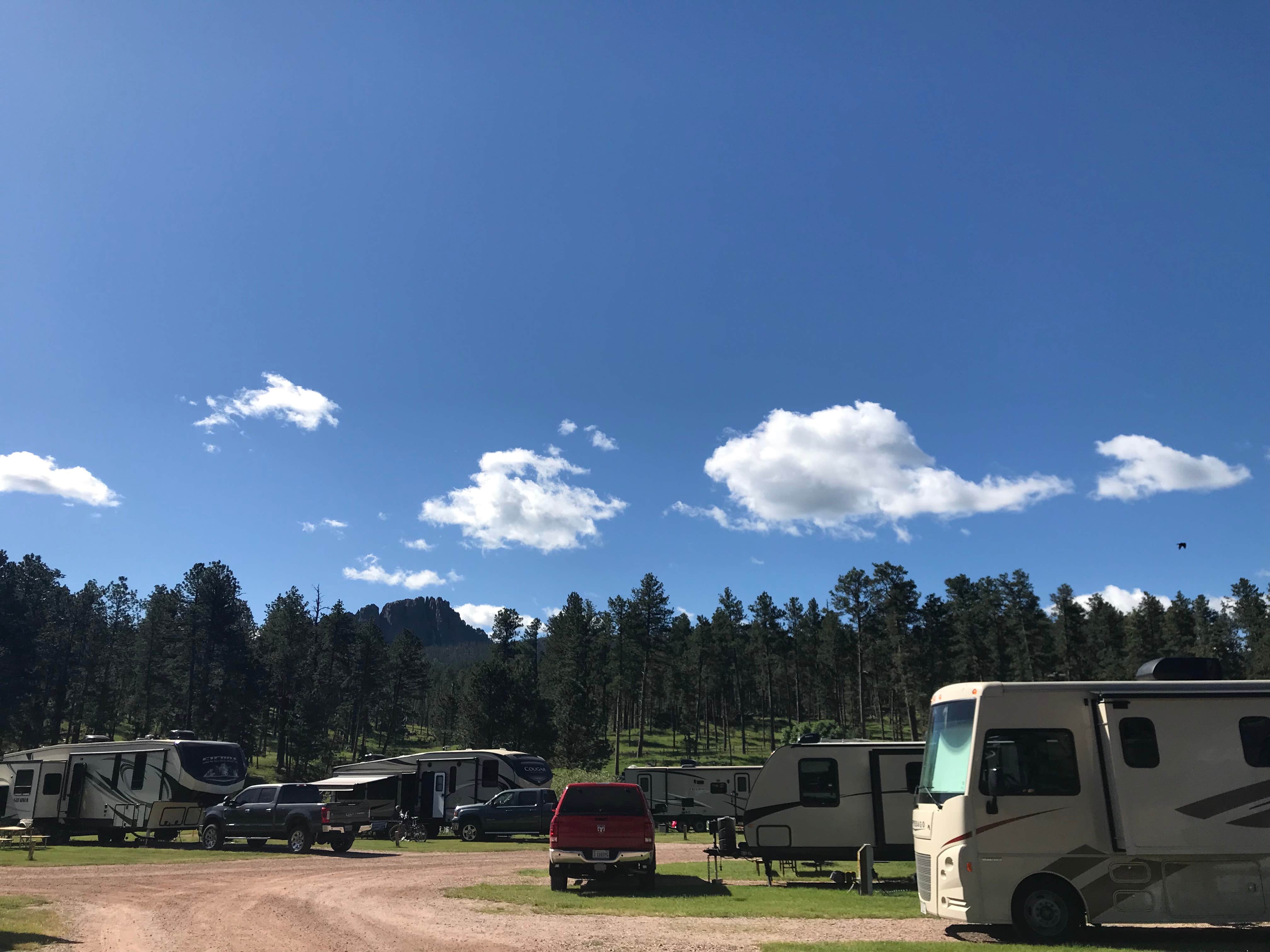 Camper submitted image from Mount Rushmore KOA at Palmer Gulch - 3