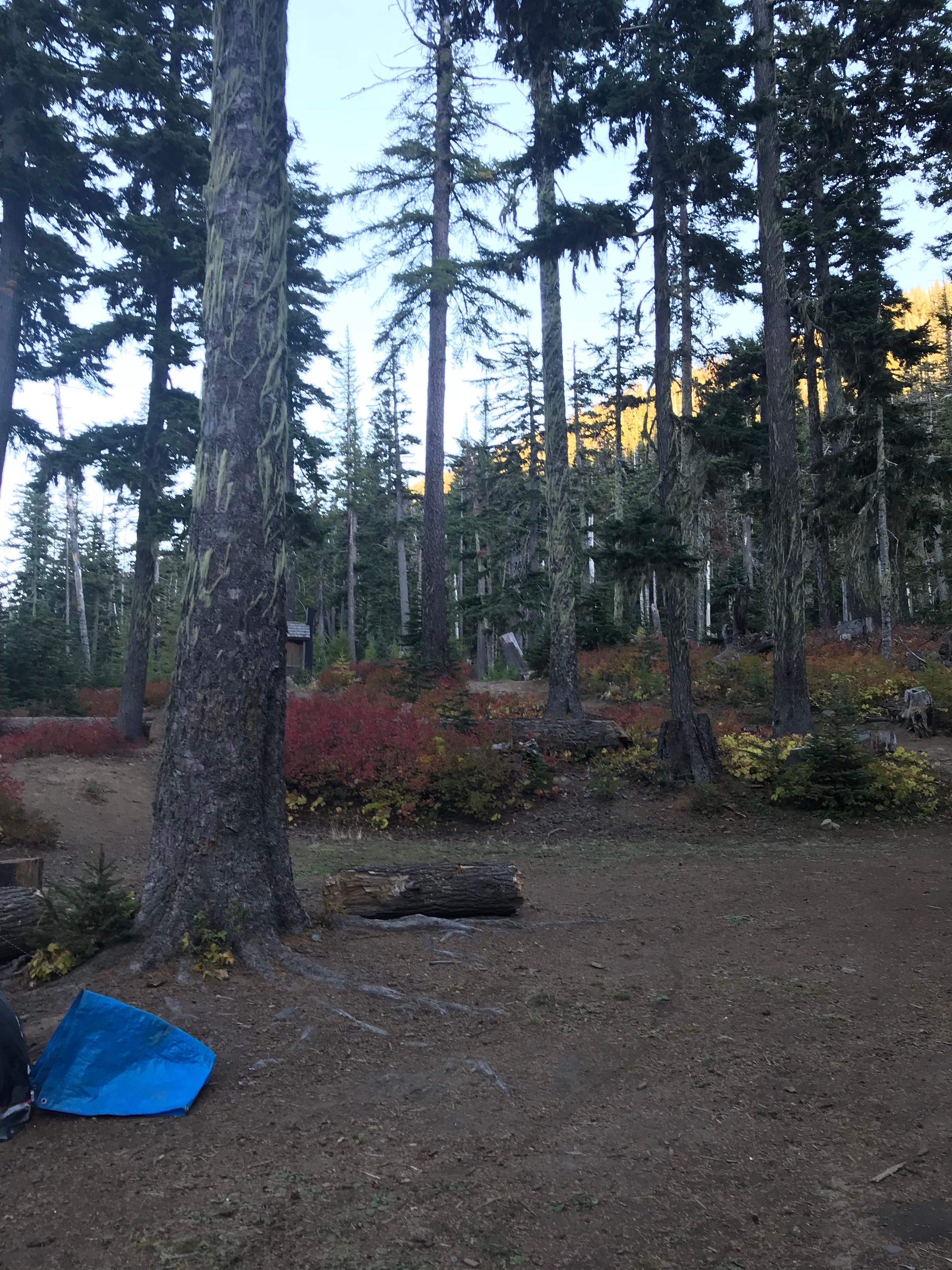 Camper submitted image from Badger Lake Campground - 4