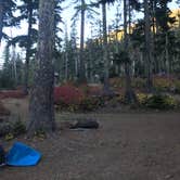 Review photo of Badger Lake Campground by Roberta E., May 21, 2019