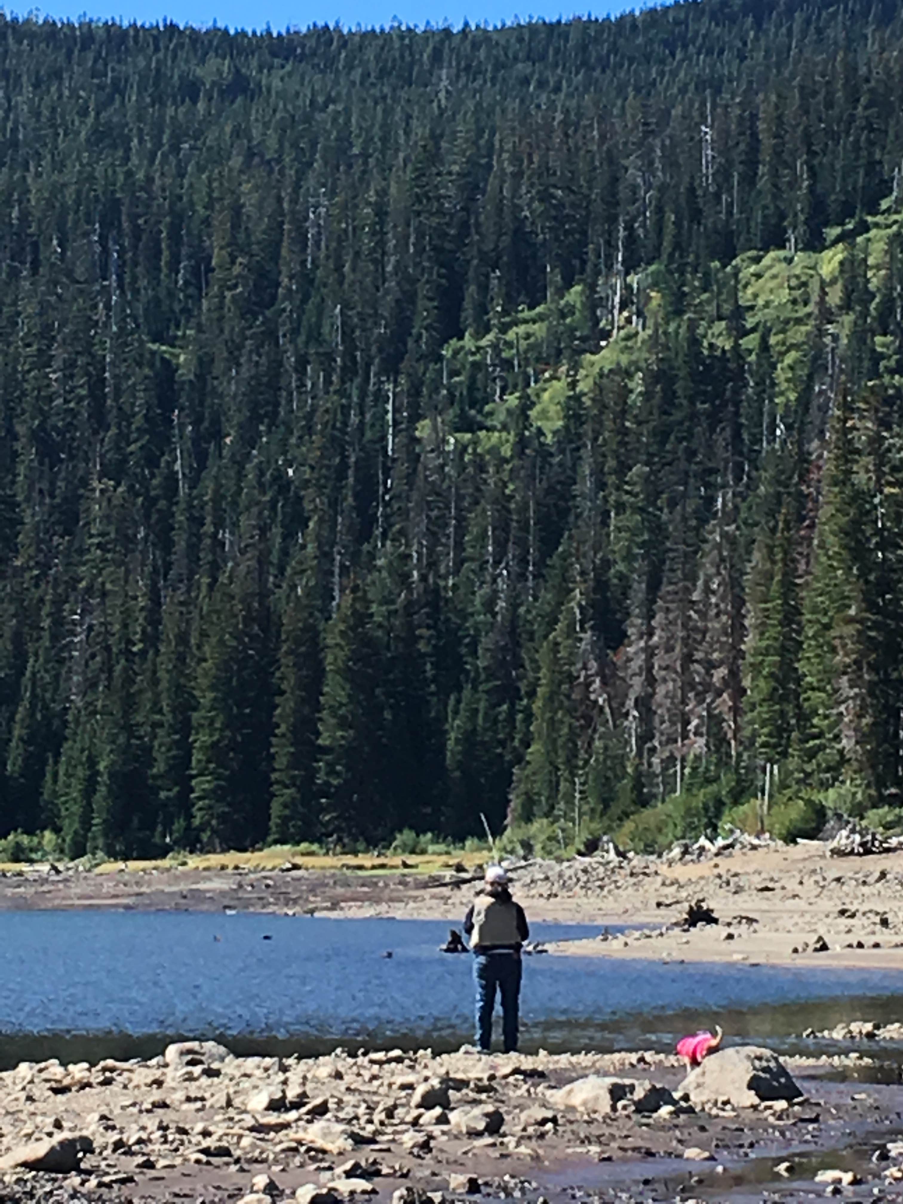 Camper submitted image from Badger Lake Campground - 3