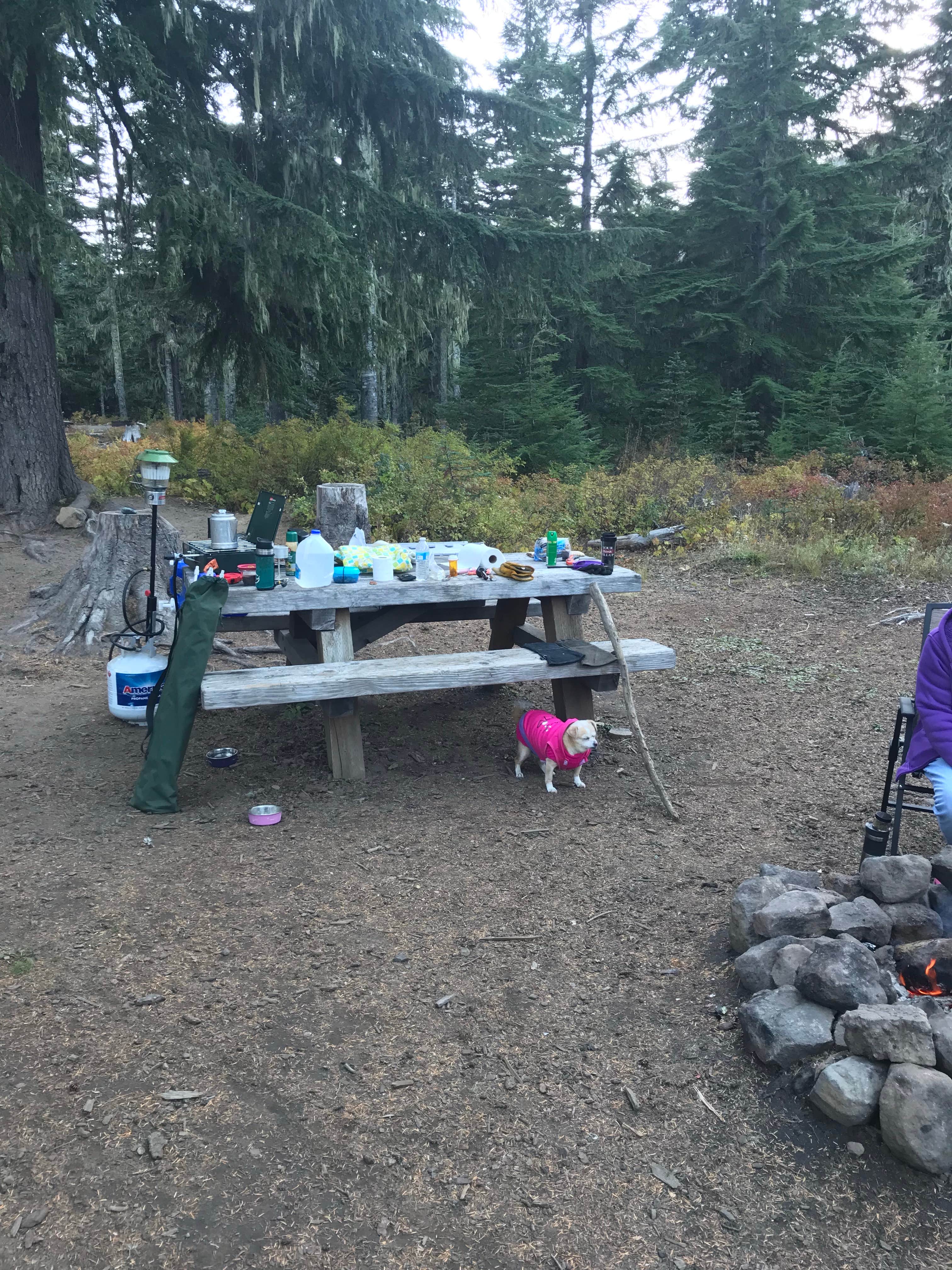 Camper submitted image from Badger Lake Campground - 5