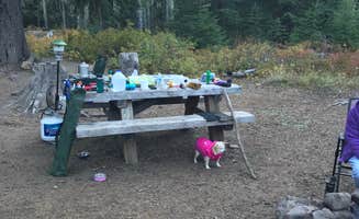 Roberta E.'s photo at Badger Lake Campground near Tygh Valley, OR
