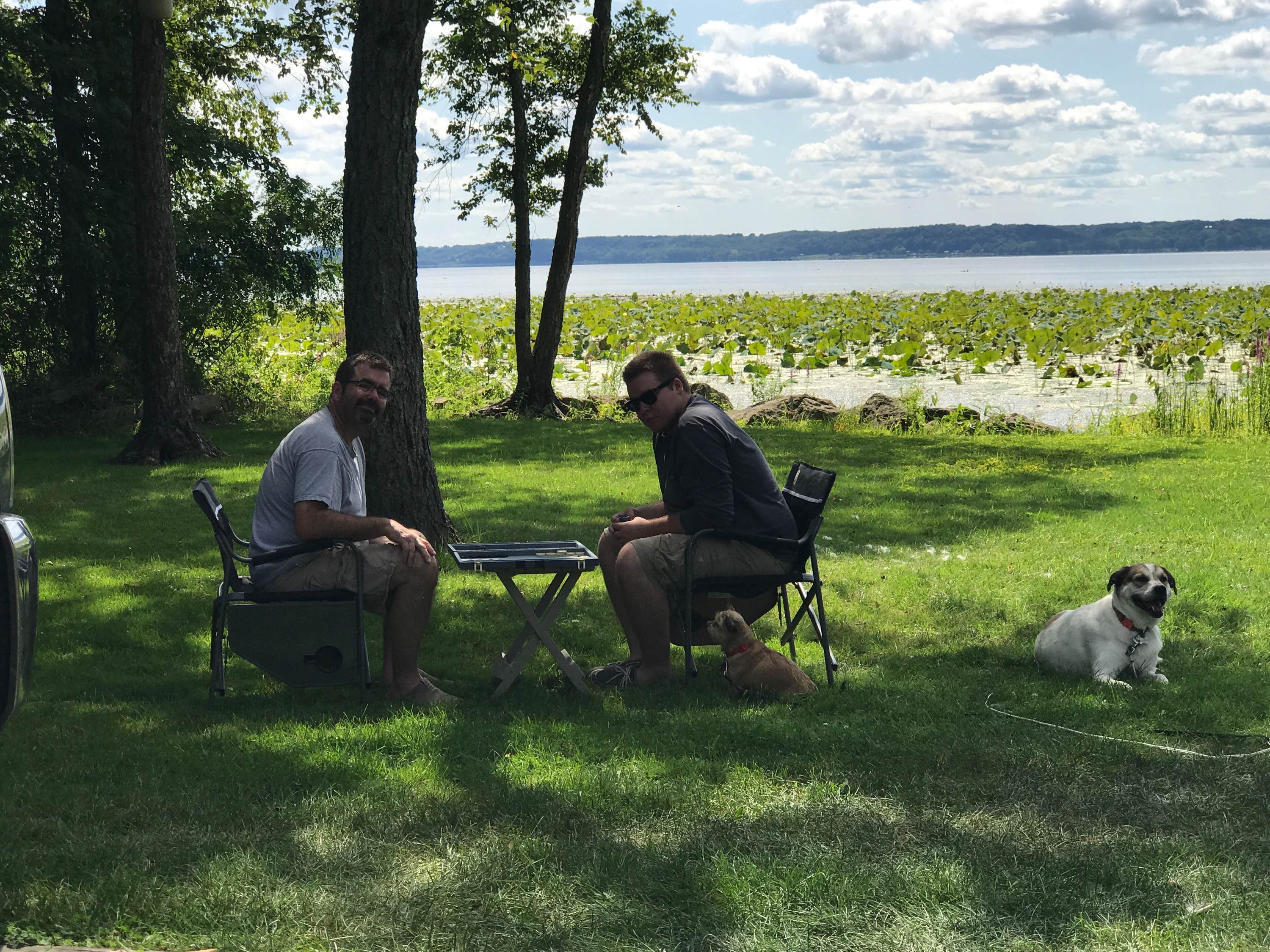 Jeff G.'s photo of camping with pets at Thomson Causeway near Bettendorf, IA
